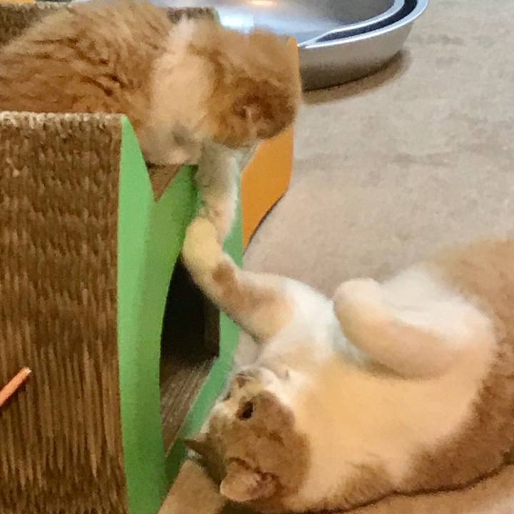 697a6df3 f7c7 4e8f a98d 650e771db814 1516065029431