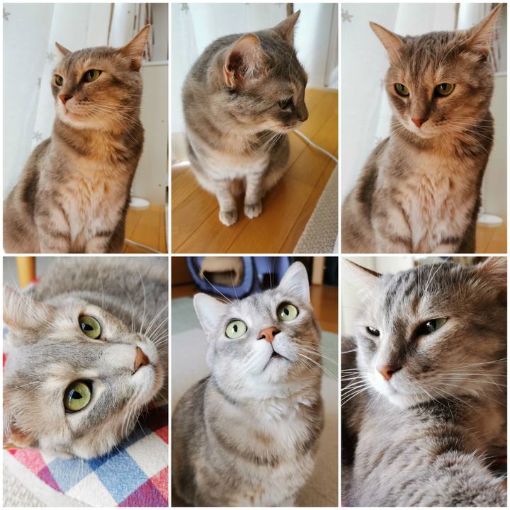 697a8c41 f28c 4f83 b00e 326847c98e0d 1653880828195