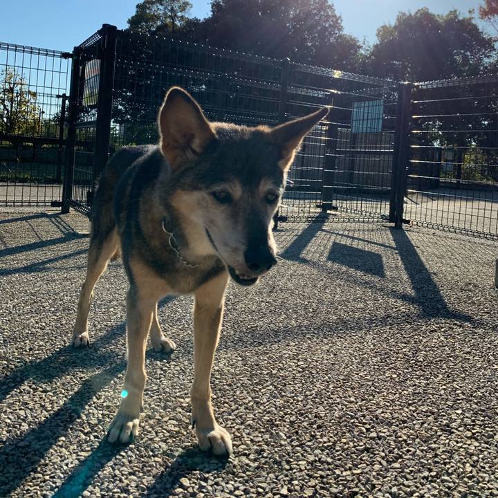 697a9131 d85e 4440 9079 5f0526511624 1574677716119