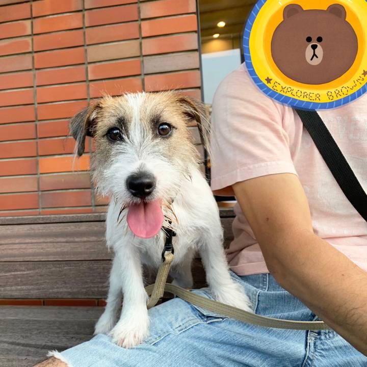 697ac3f9 8054 4626 86ca b87beca2b387 1566742021750