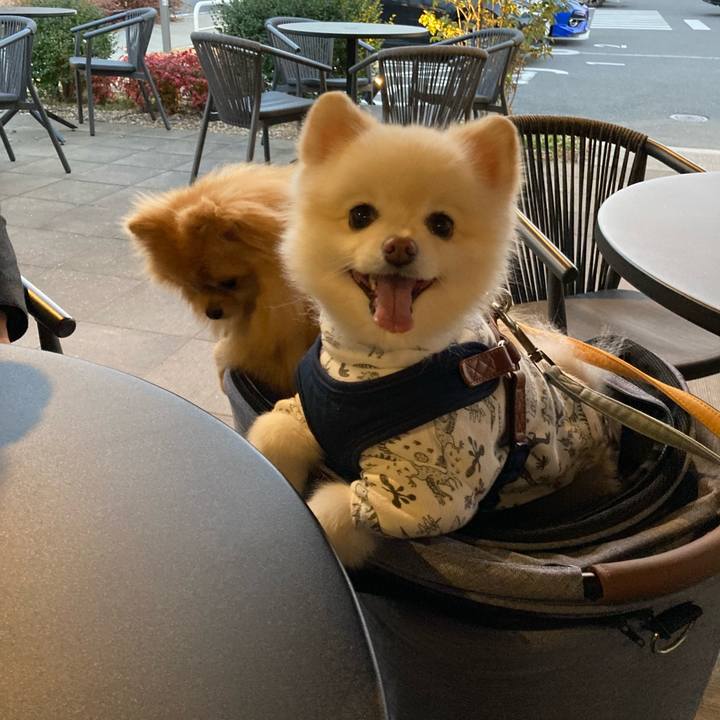 697acce3 8ca1 40c9 8b29 2bfdb2f425b1 1672890586624