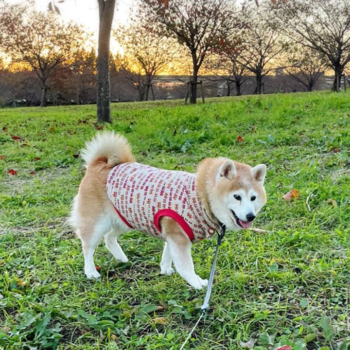 697acd0e 49f9 40d1 92e1 8470c09e10d7 1637750405285