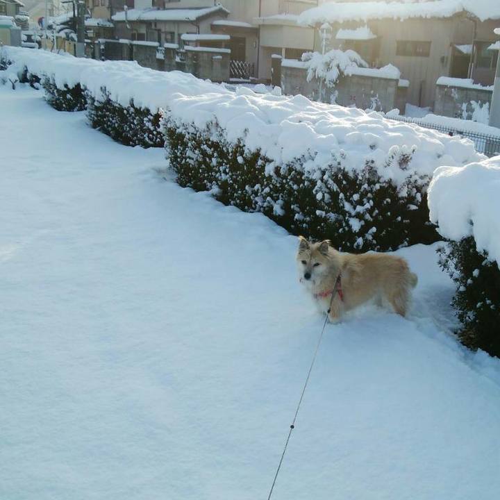 697ae0dc 89fc 49dd 8bd7 9cf4e636a3ed 1516680018488