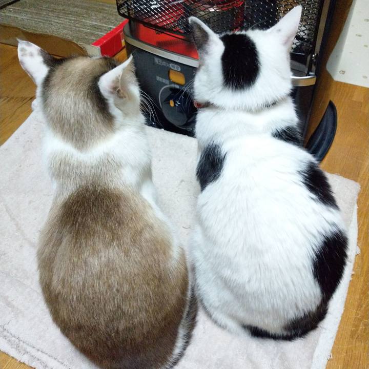 697afbf3 baec 4d61 b26b c0ab6be71da4 1518557451088