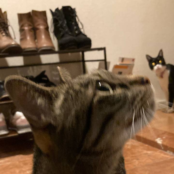 697afdd5 75bf 48b7 9d12 171e86475a20 1620223935307