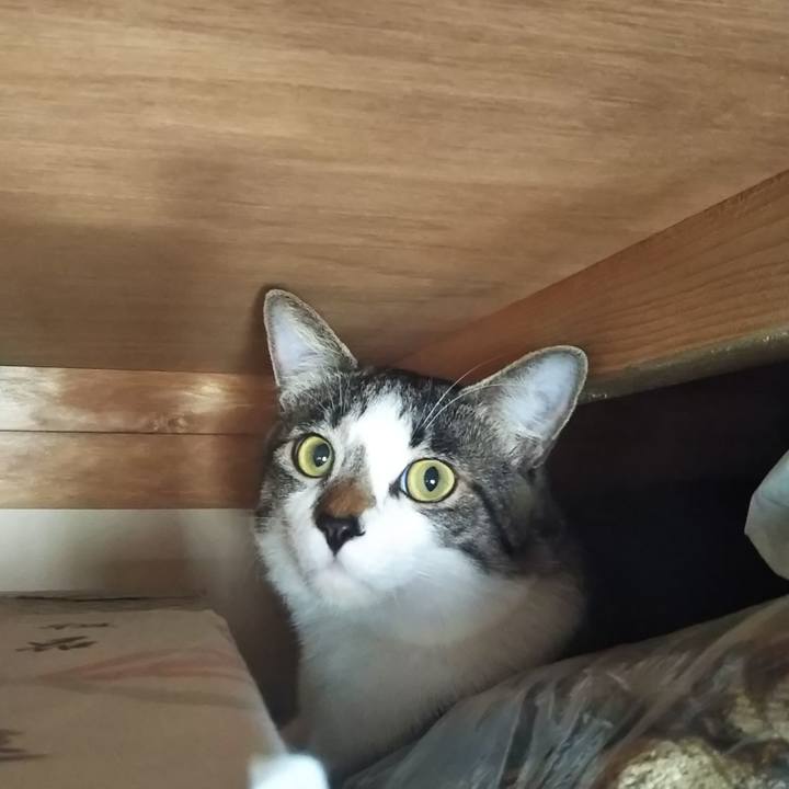 697b2af0 9e79 4455 a9fe 8467dba5b9ae 1602328763327