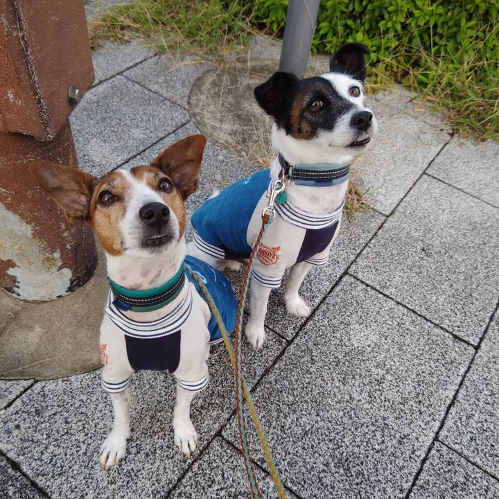 697b5309 b20c 4497 9bf4 209753d8923d 1729720161598