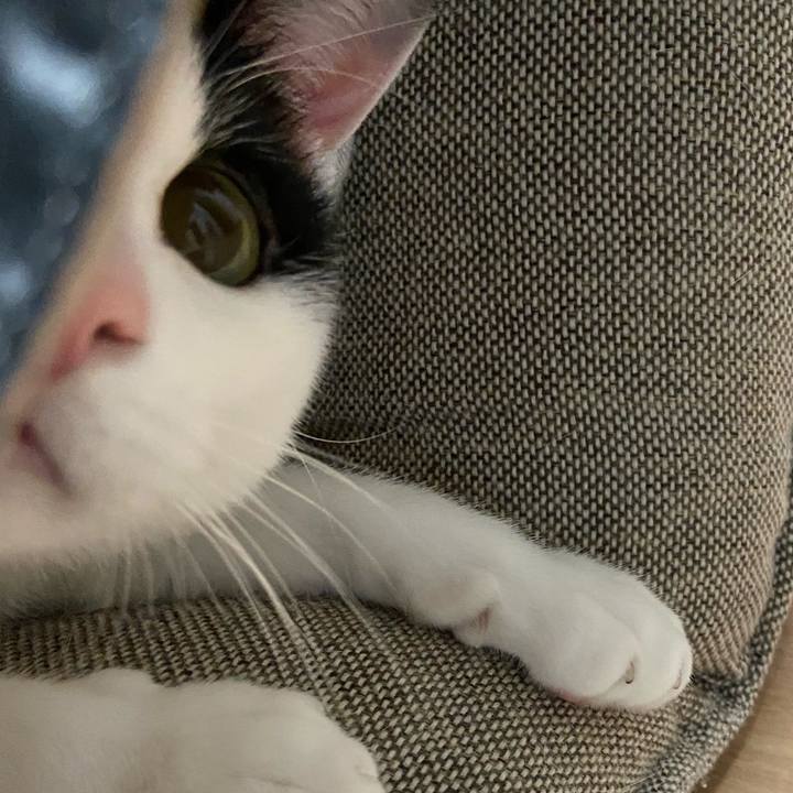 697b674d f703 4c19 91b8 dd78123866ef 1585224402480