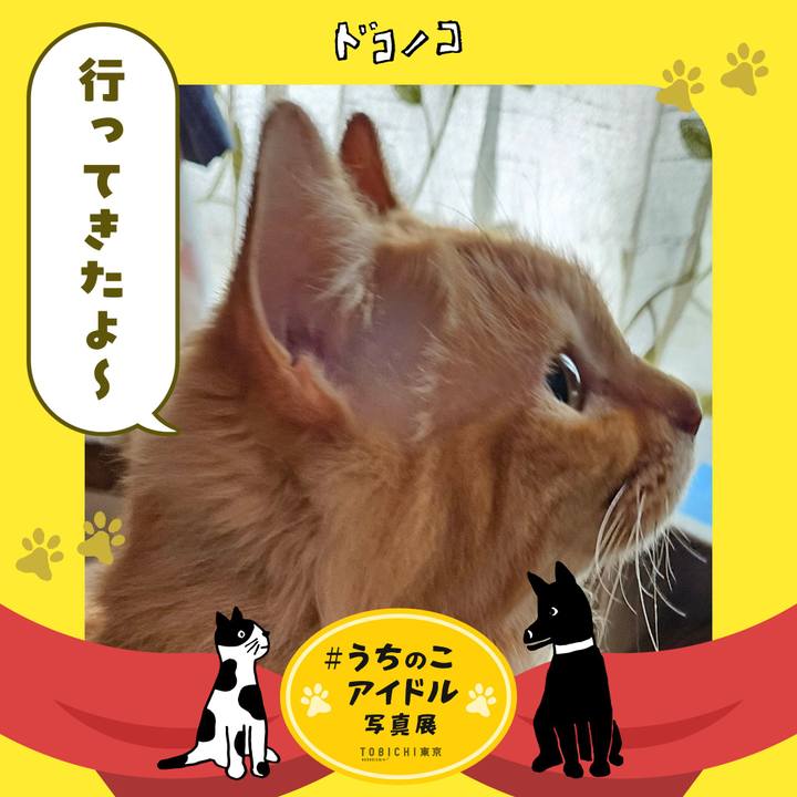 697bdaef 4408 4a91 8fcf 95d24cd371d5 1761379276514