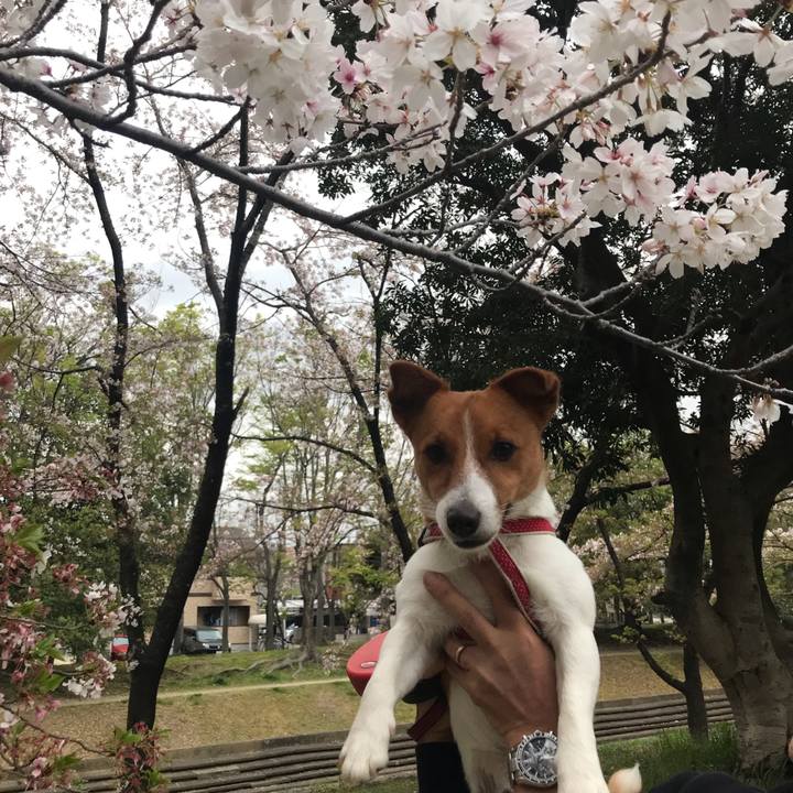 697c131a ef35 4fc9 af22 008bce84b26d 1617438925042