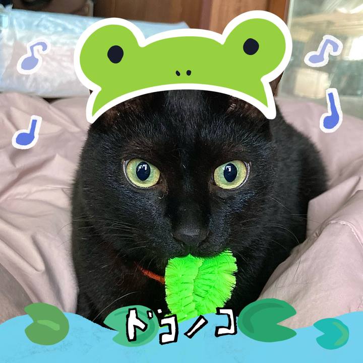 697c225d 7328 4317 bc23 a41d86742755 1717717782810