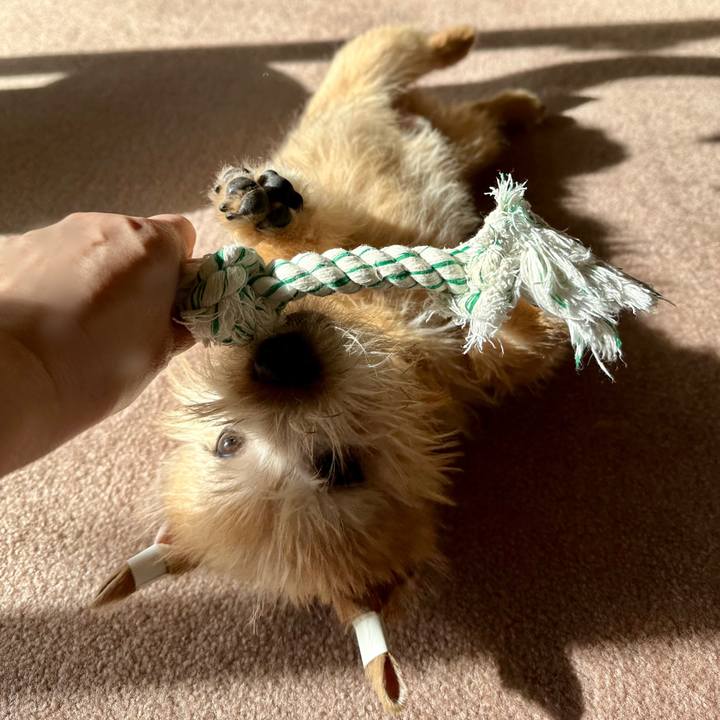 697c323b bc4b 44d4 bbcb 7998931600b1 1704874808150