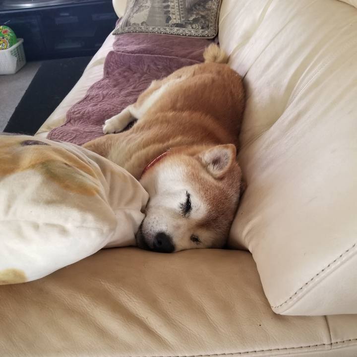 697c4e2f bd5e 4cf4 827c 85039774afa2 1752298152193