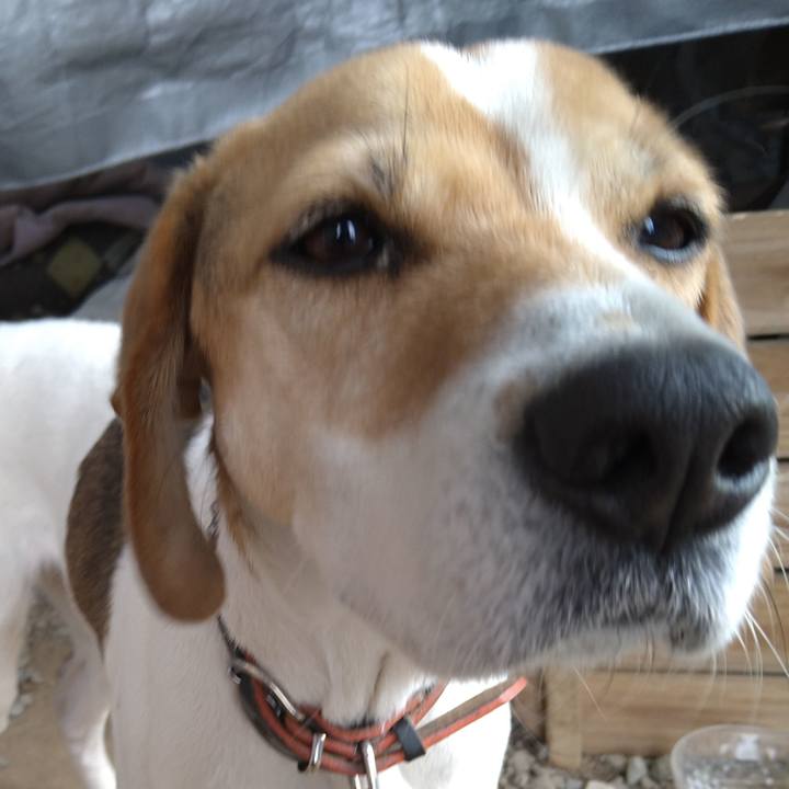 697cd112 8ef0 47f0 a5d9 6897b8ea2896 1643275751296