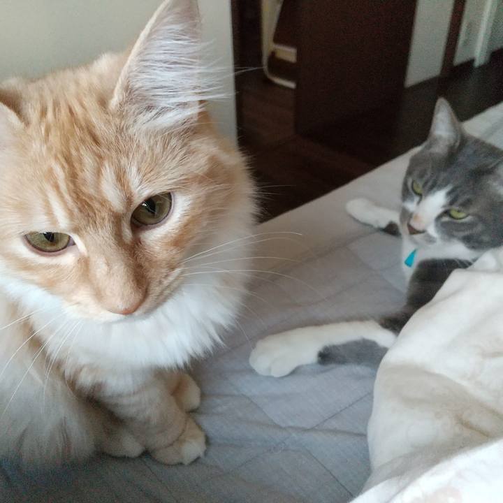 697ced34 57bc 43a0 baa3 b344a9c98201 1619560385683