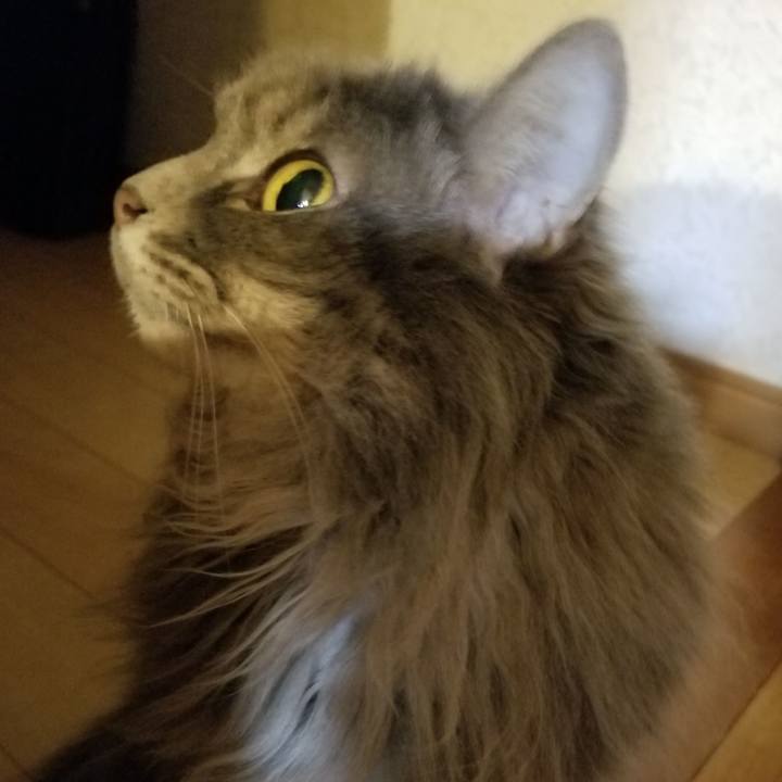 697cf566 b59f 49a3 af29 78f89a8a3924 1554553814266