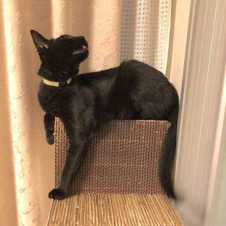 697d3e94 0192 4315 bc9f b8f6845c1bf4 1537532155741