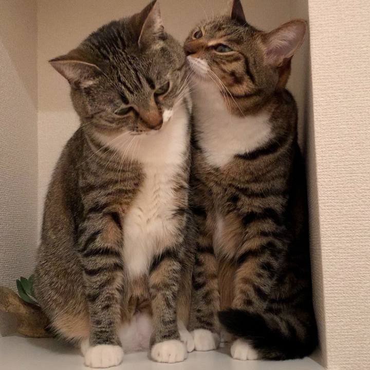 697d4739 5760 4dd6 a627 d5772f58feb1 1618846171534