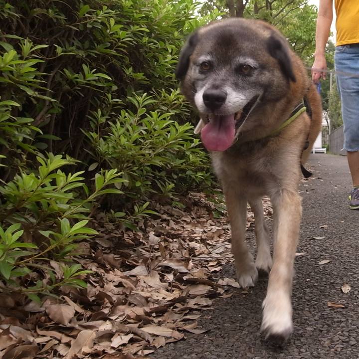 697d48ee 2151 4483 a46a 93928f36c833 1587690325582