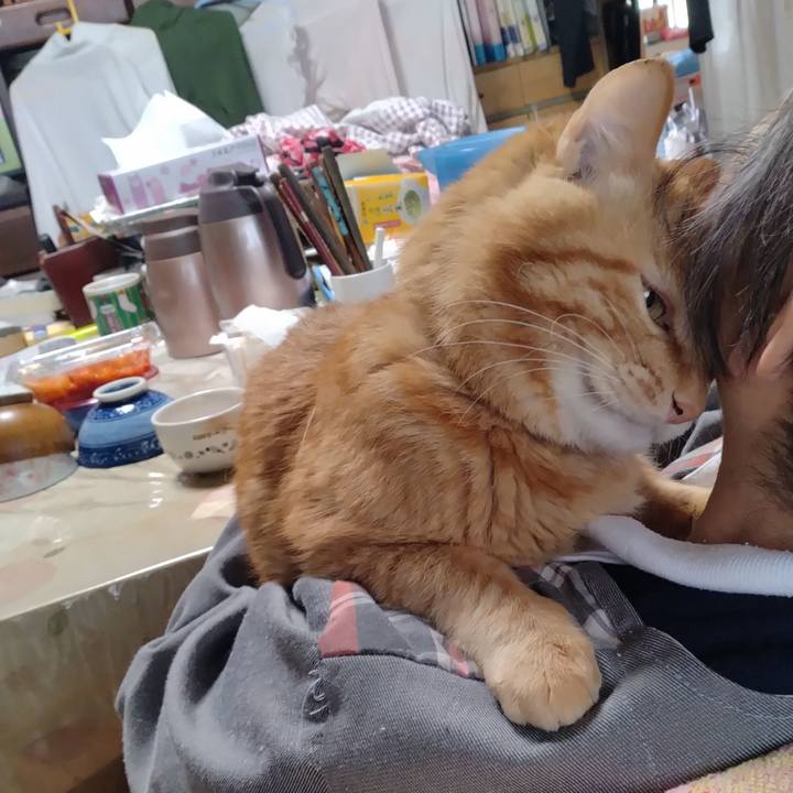 697d6659 8d1c 4260 9007 cc431e4c2083 1713607480883