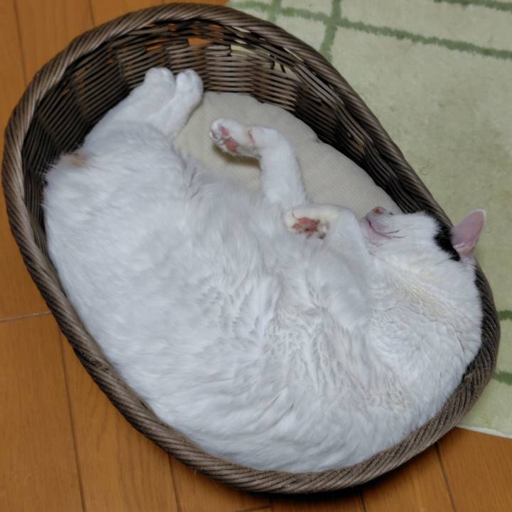 697d84f1 8b02 45d3 97e6 ec4fdc7ebe9a 1766704153289