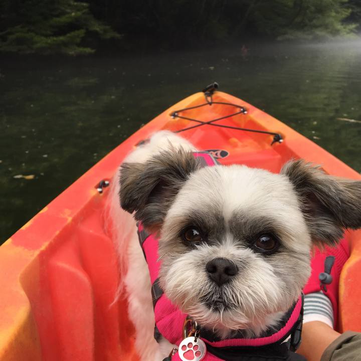 697db263 91a3 41dd 920c e55997e2d035 1535173100926