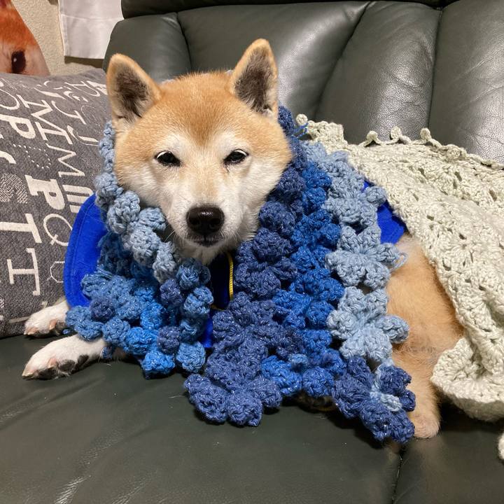 697dbe7a c3e1 480d b616 7e517c189f5b 1638504935672