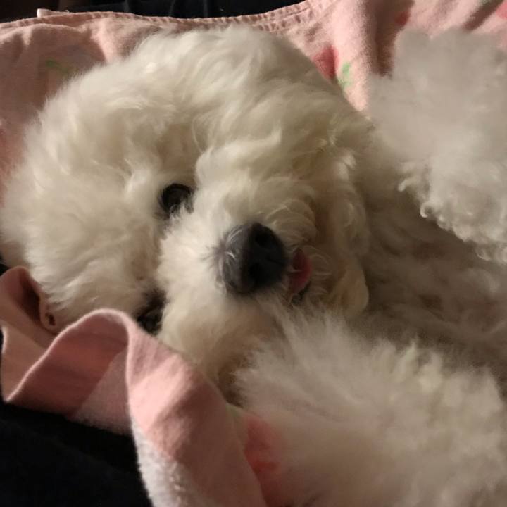 697dd001 d0e3 4f24 b4a7 f75514e50b80 1559310485518