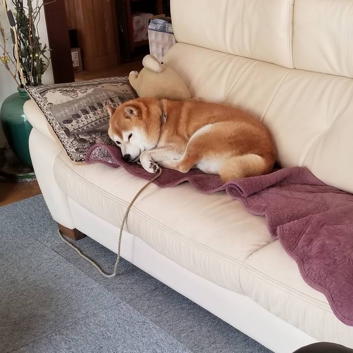 697dd169 6360 4cba b7f7 9db1178887b1 1623903712908