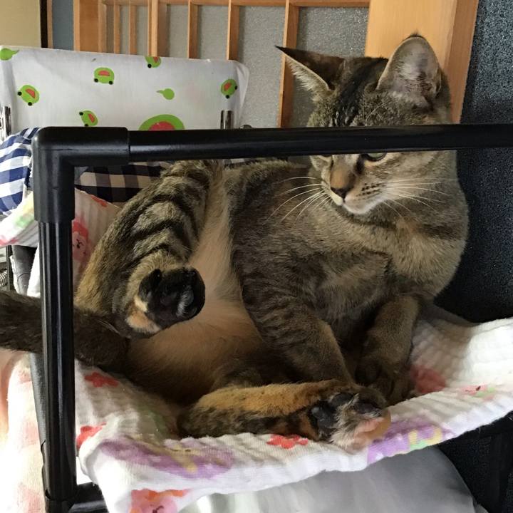 697dd83d 0445 4b23 bacb 9a786084de3d 1578819886134