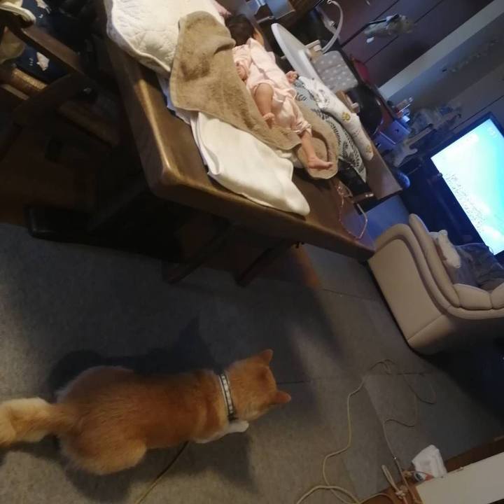 697df11f 1a88 4299 bae5 7beef9bc872c 1595581228436