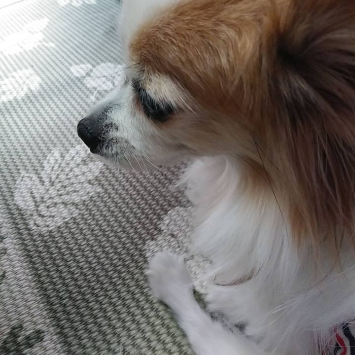 697e0936 c70f 4546 9c83 4c09c17fda52 1537458997334