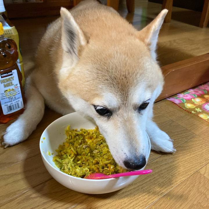 697e1300 f506 4d44 9ef1 ca13225e530f 1629114862387