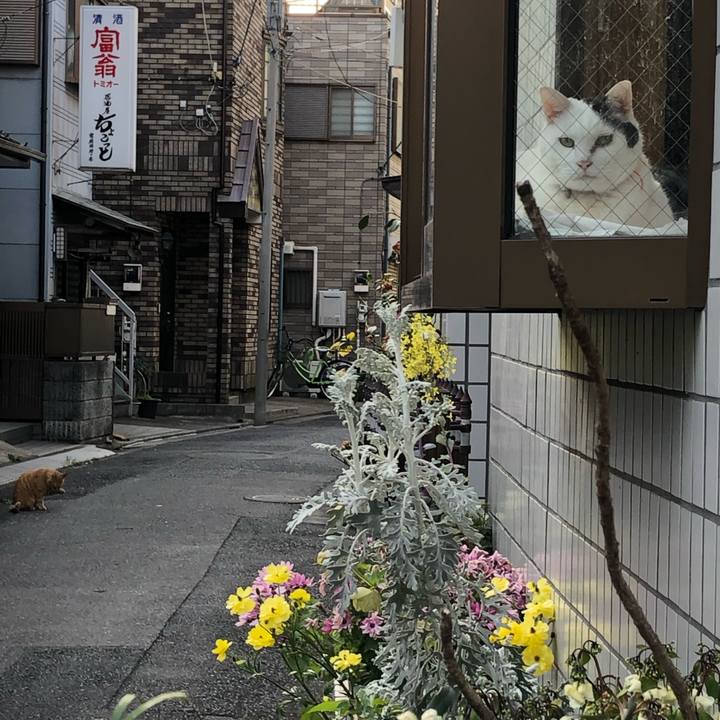 697e29b3 166e 46db b019 74bd43e999eb 1554473517513