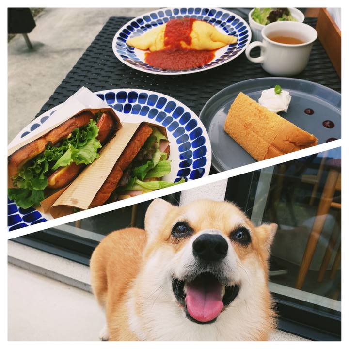 697e3474 b865 4b46 a317 aa02276cb9b8 1663592857558