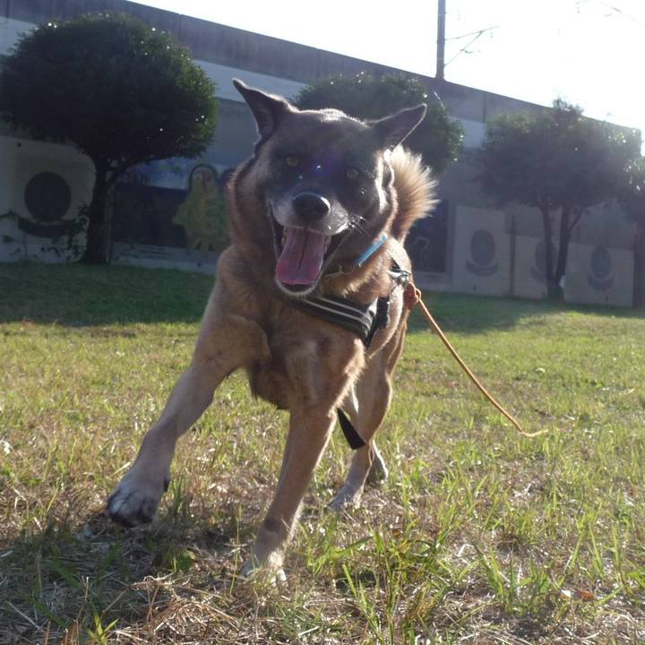 697e358c 476f 4aa5 a0b3 8fdcdec4c0d4 1577579761542