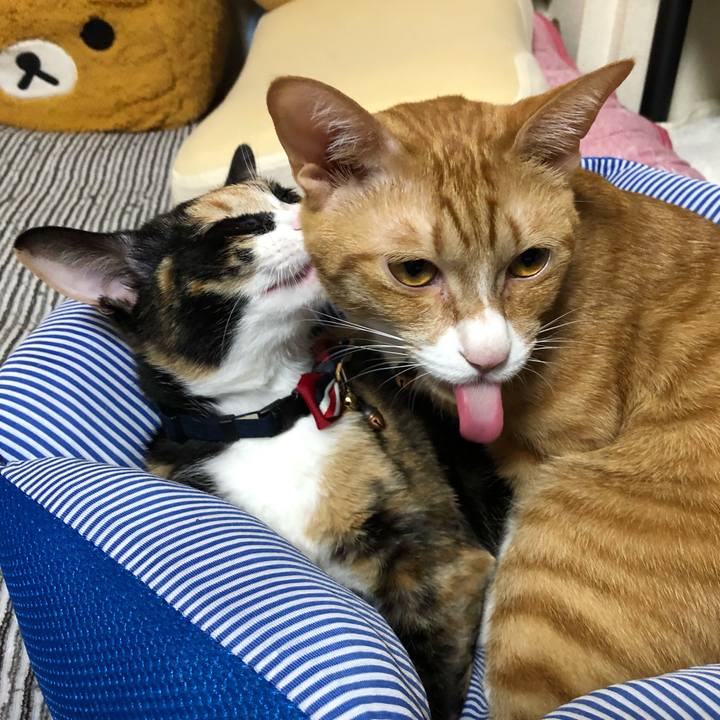 697e3686 4751 4f5e 97a4 1de8cb2d6cf9 1566466606941