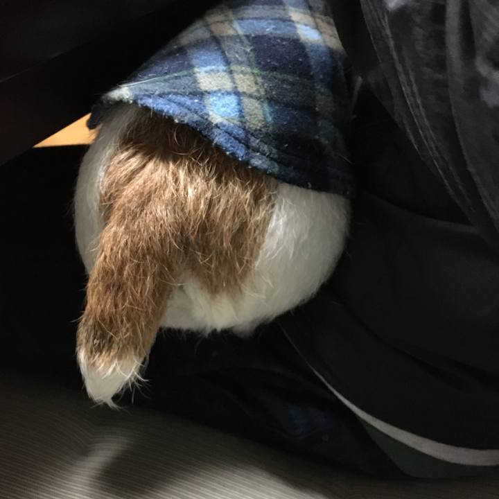 697e87c1 8d02 484d aa2e 3b34e17d4ad1 1576121373796