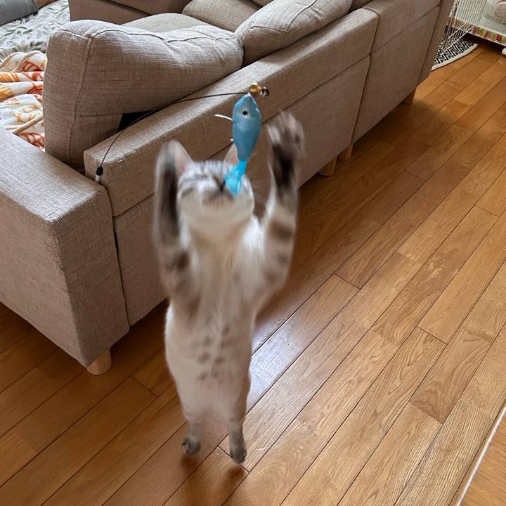 697e8e4c cb47 4388 bf7a b45a5f2d3d7c 1755643909407