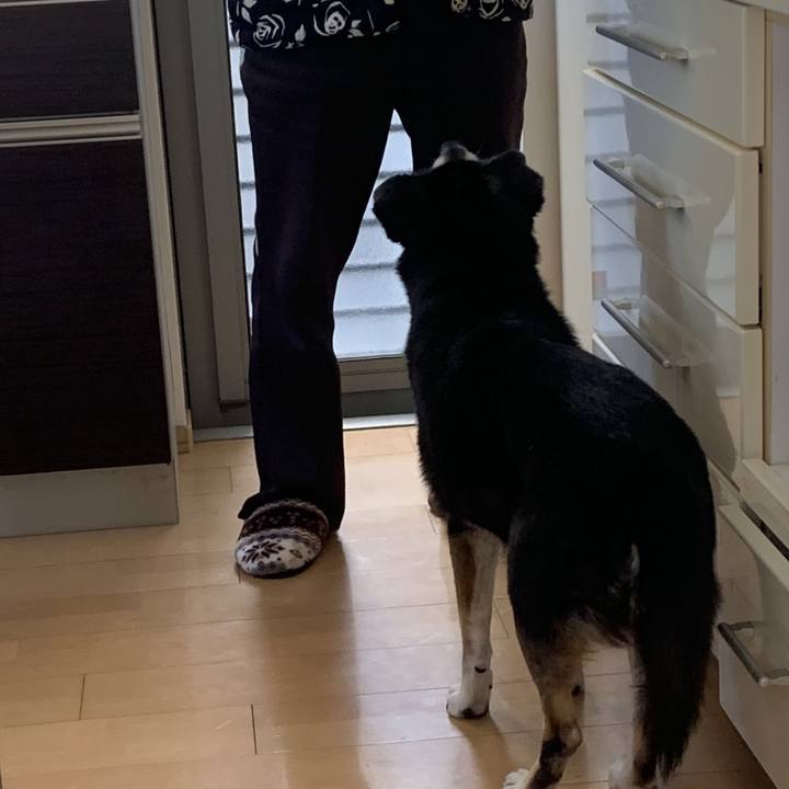 697e9533 db53 4d16 824c 6d0295837b99 1771635648146