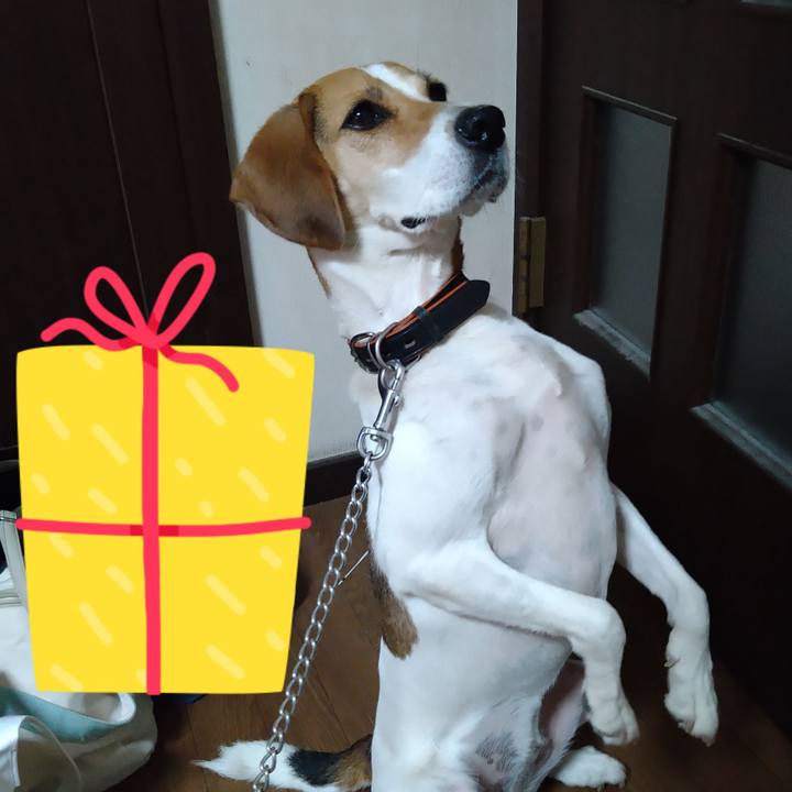 697eab52 026a 4203 bbed 97ee5726e6d5 1629701030092