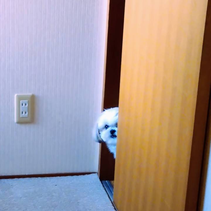 697eadc2 dff3 4eb3 8535 054110987a43 1642115224441