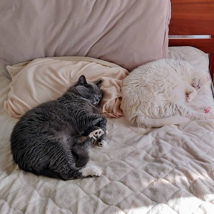 697eed85 c1f0 457b 9bcf 701d11f5b587 1738997649288