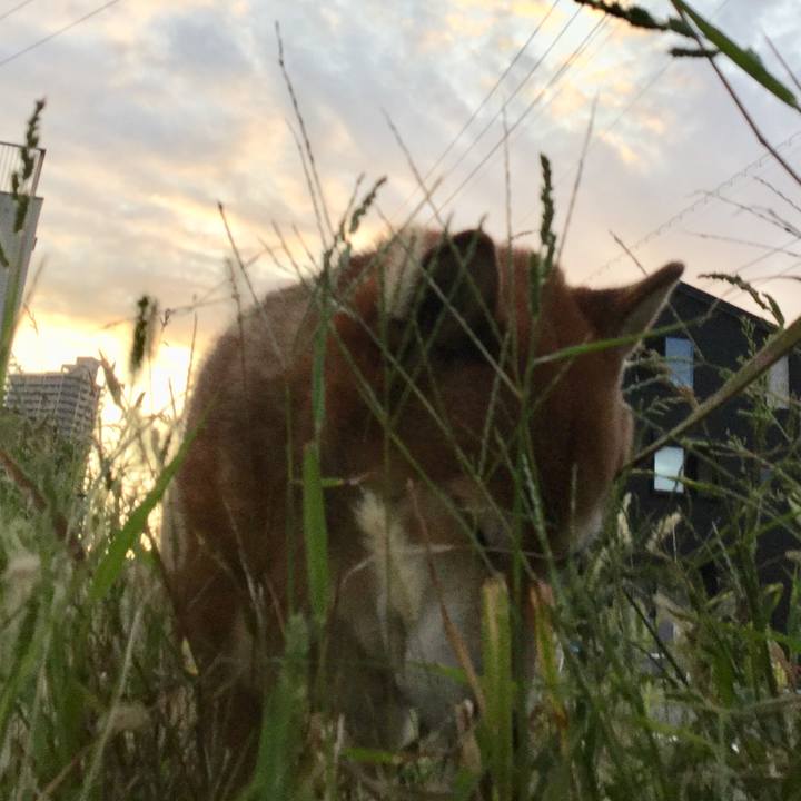 697f21ab d9a2 4056 87d4 f38b2d9c0095 1633165281986