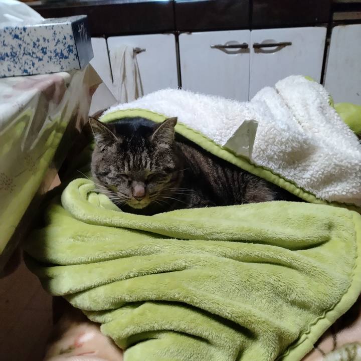 697f50fb 0e4b 435e 8d5a 31ea4d9f9b13 1675294598663