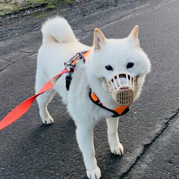 697f7aaf 3b4d 48fc 9834 313592781c95 1618434450878