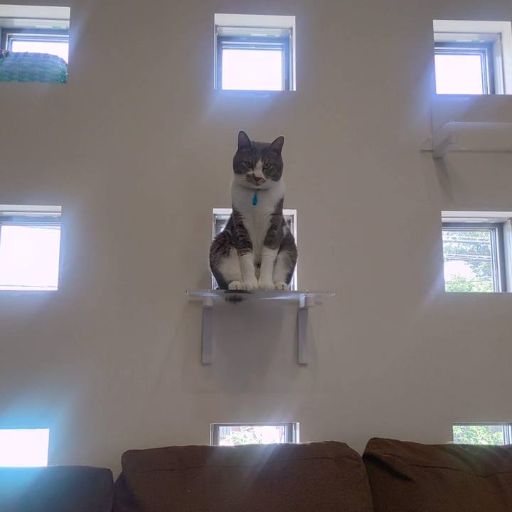 697f85eb 1e22 4d9d 9b9e 07b63fc6fa93 1664369796461