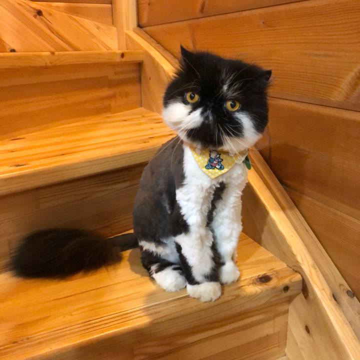 697fb7c0 03e9 4ad7 bcee 23e0740fcc83 1653827039342