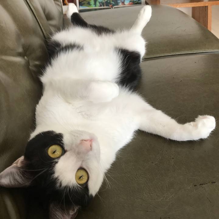 697fe297 057e 47f0 8138 35a3c3404809 1509519549797