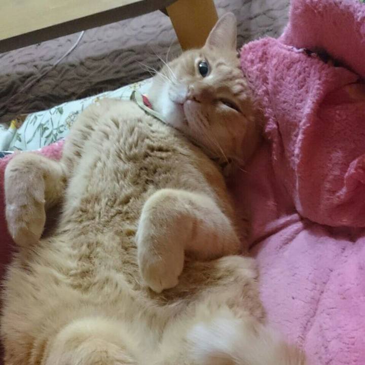 697fe7a4 3ec9 4ede 9cd3 43d0ee598b5d 1514519287246